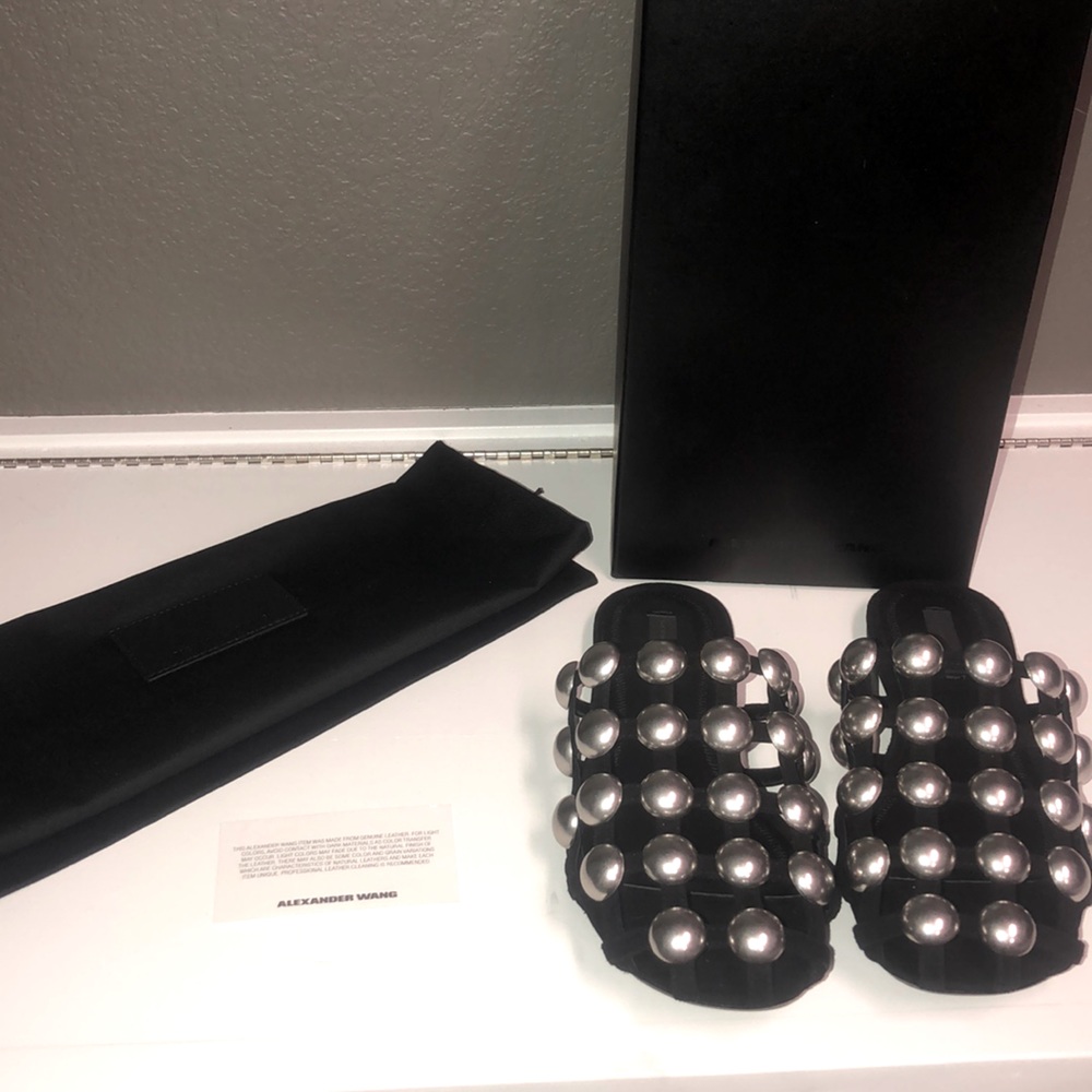 Alexander Wang Amelia (backless loafer)